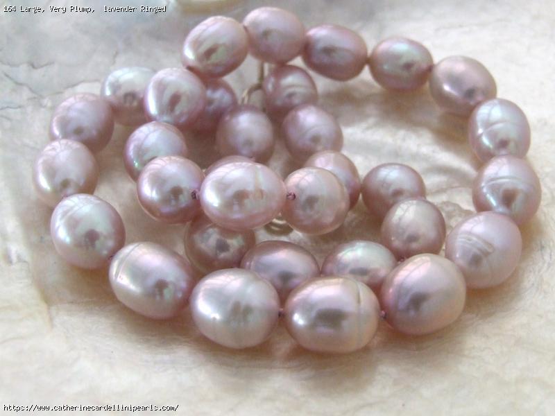 Large, Very Plump,  lavender Ringed Rice Freshwater Pearl Necklace