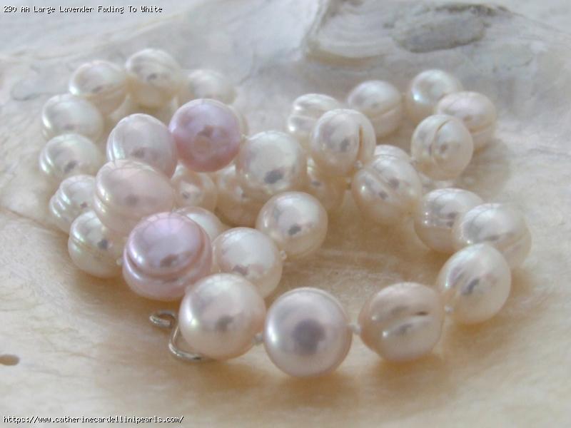AA Large Lavender Fading To White Ringed Freshwater Pearls